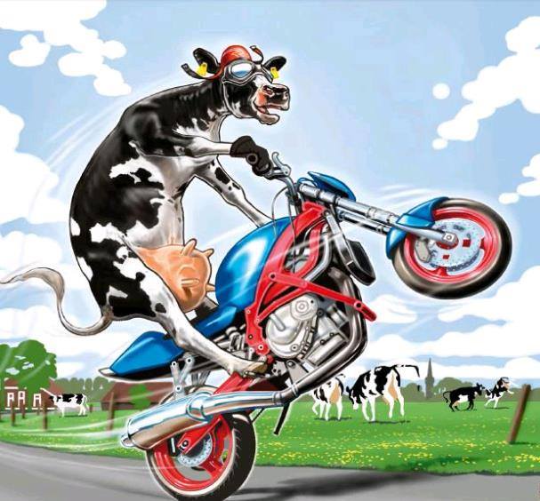 60234666_1609578499174902_7320039893604761600_n